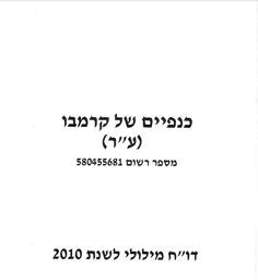 דוחות כספיים מבוקרים ליום 31 בדצמבר 2010 (דו”ח נרטיבי)